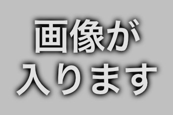 説明文が入ります